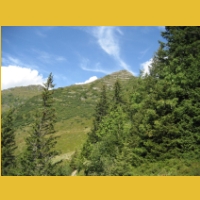 IMG_5553.JPG
